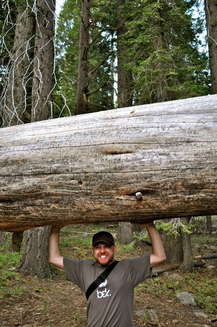 RAWWRR, Sequoia National Park, Giles Timms 2009