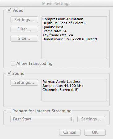 Animation Codec Settings