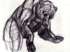 bear_01f.jpg