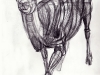 deer_01f.jpg