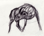 goat_01f.jpg